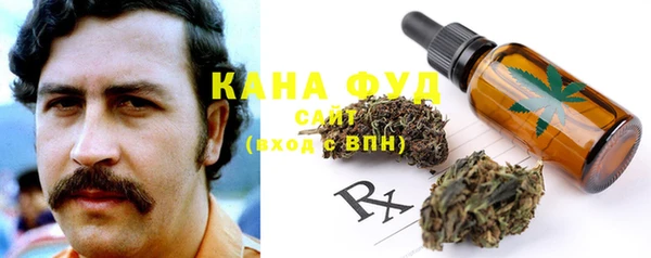 гашик Алексин
