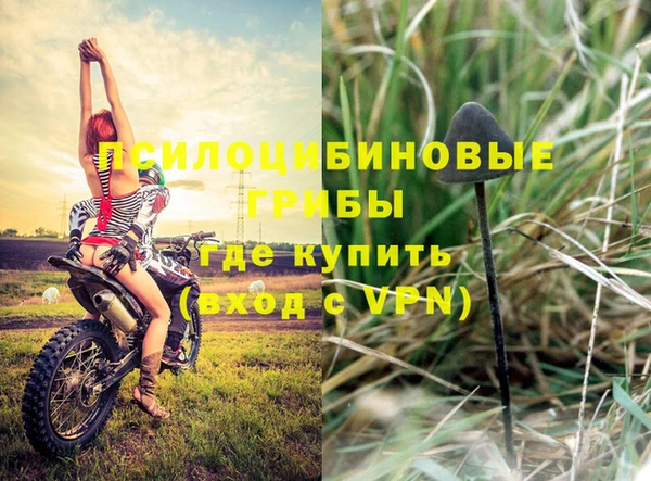 ГАЛЛЮЦИНОГЕННЫЕ ГРИБЫ Алзамай