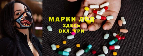 ГАЛЛЮЦИНОГЕННЫЕ ГРИБЫ Алзамай