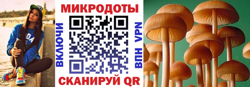 где купить   Уяр  Псилоцибиновые грибы MAGIC MUSHROOMS 